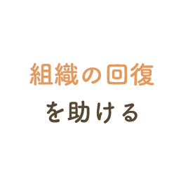 組織の回復を助ける