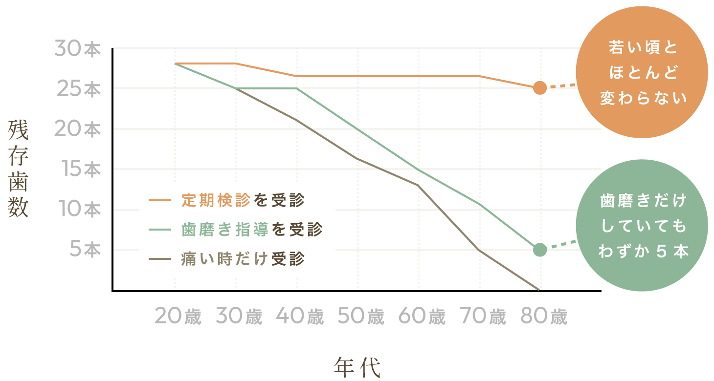 歯科医院のかかり方と残存歯数