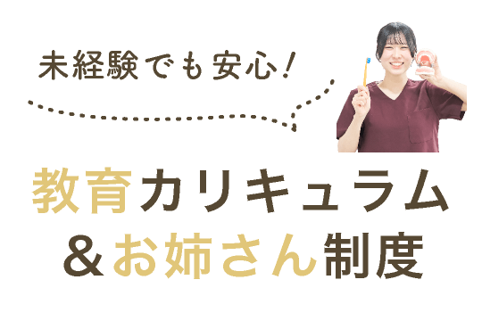 未経験でも安心！教育カリキュラム＆お姉さん制度