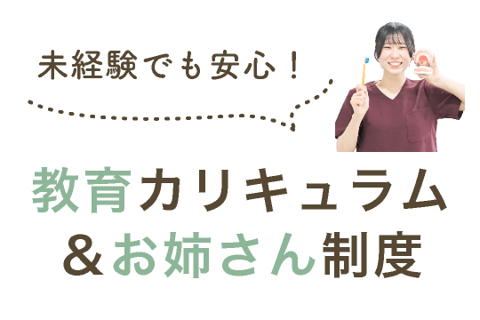 未経験でも安心!教育カリキュラム&お姉さん制度